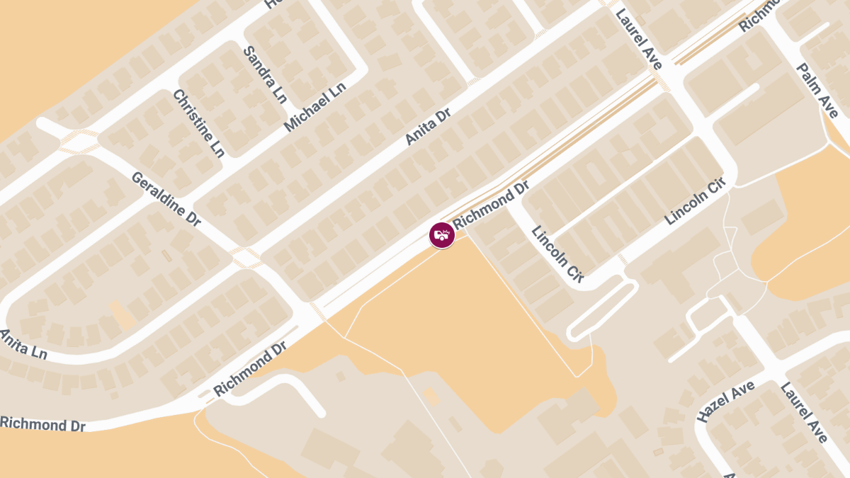 Fatal Pedestrian Accident at Richmond Dr