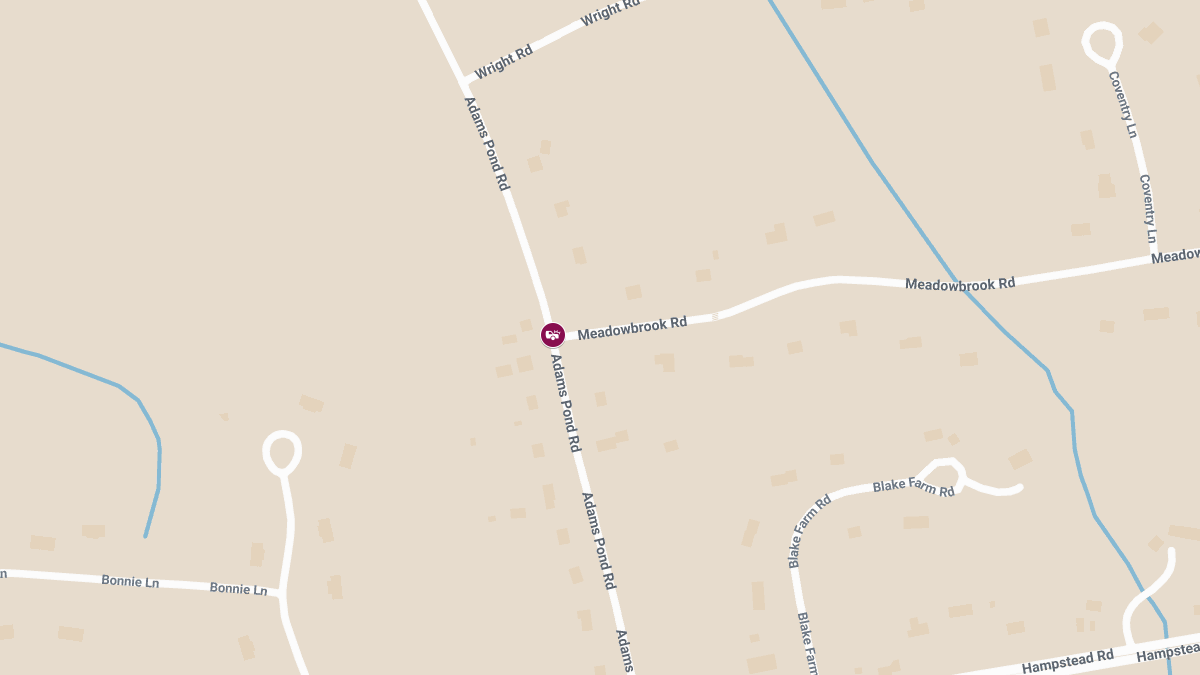Injury Accident at Adams Pond Rd & Meadowbrook Rd
