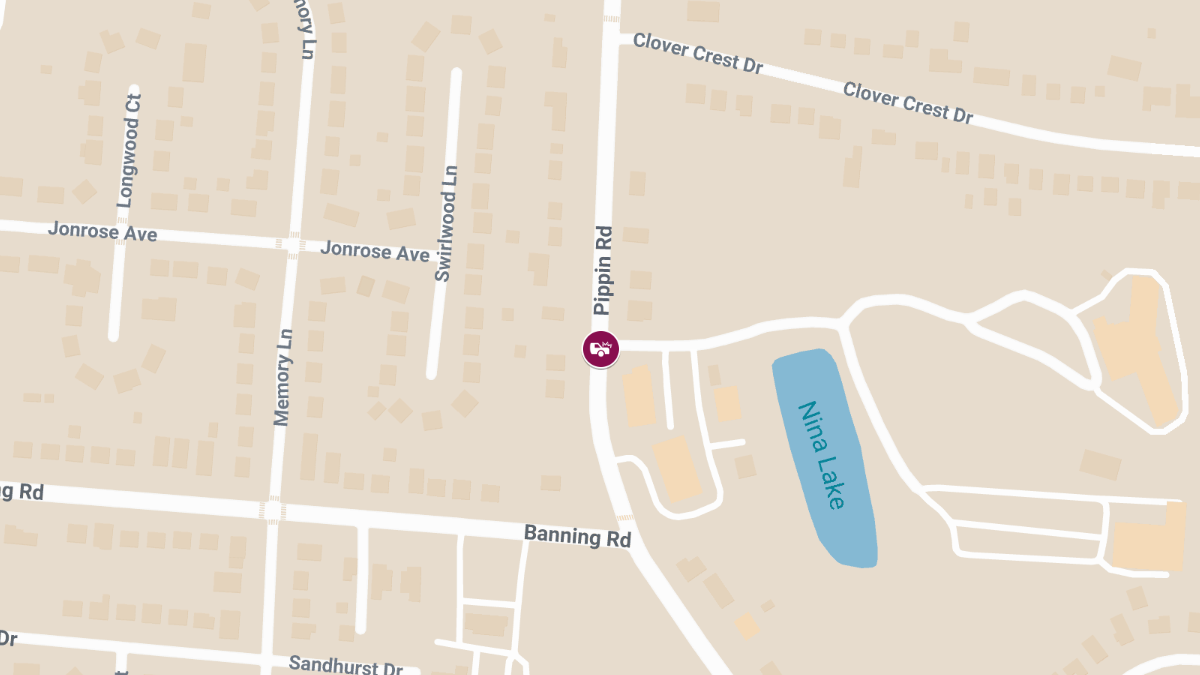 Injury Accident on Pippin Rd Near Banning Rd