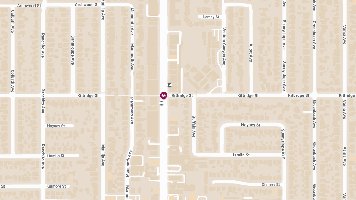 Injury Collision at Woodman Ave & Kittridge St