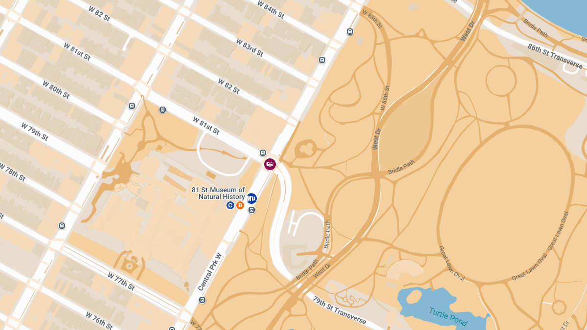 Injury Crash at W 81st St and Central Park W