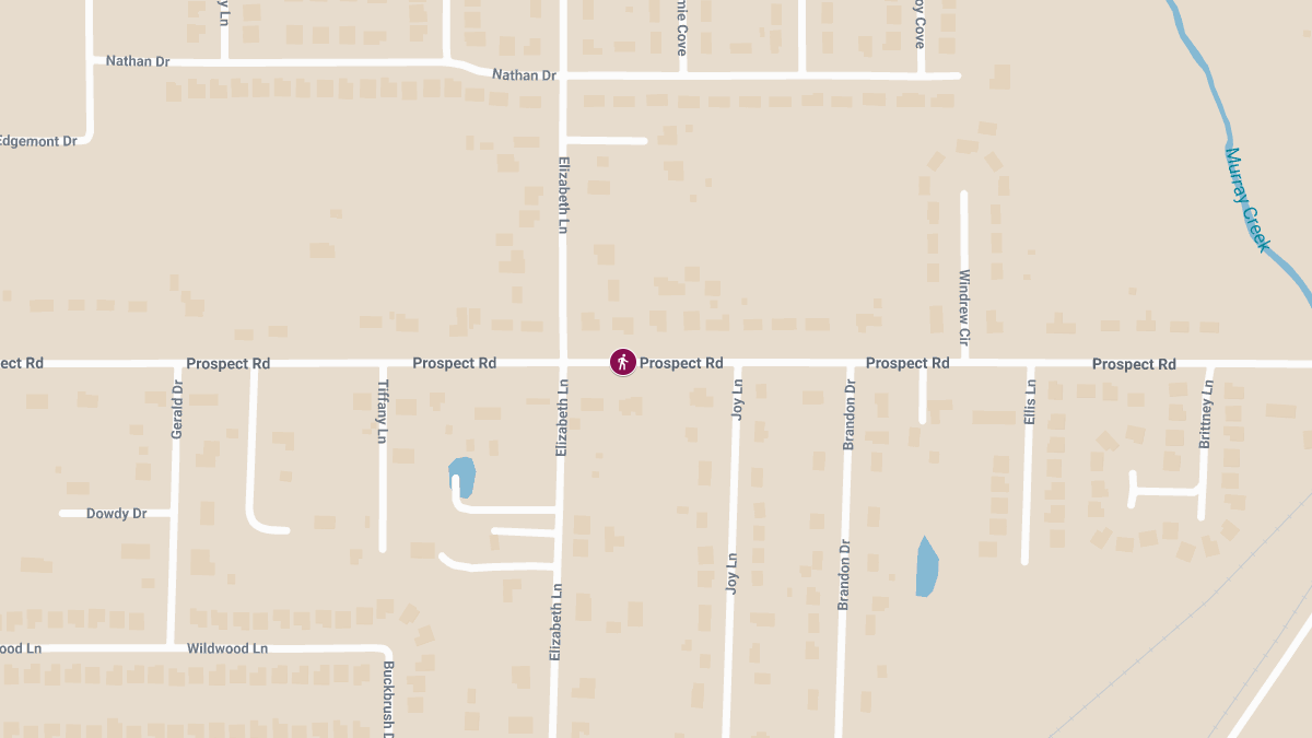 Pedestrian Accident Near Ellis Ln Causes Injuries