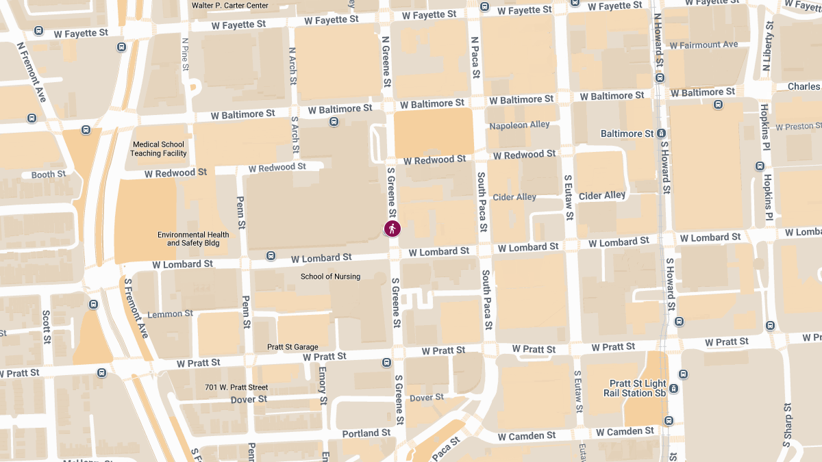 Pedestrian Critically Hurt on S Greene St