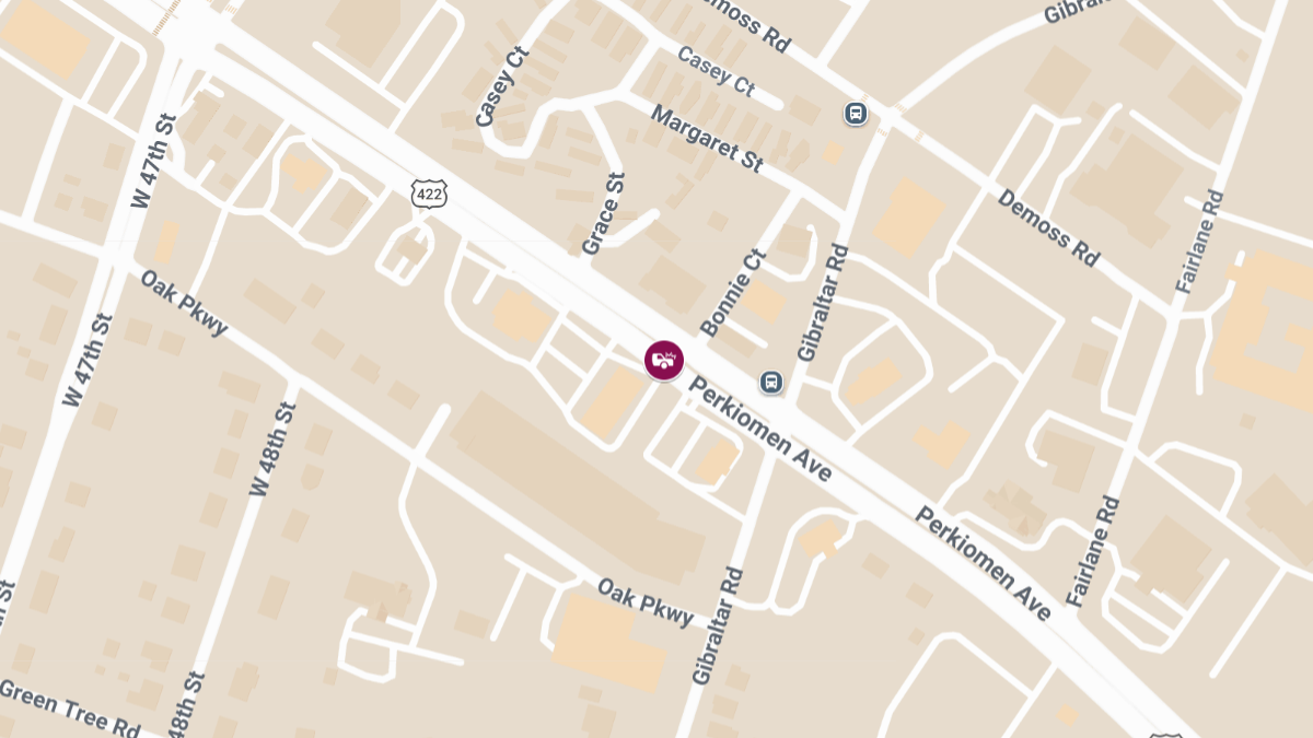 Pedestrian Injured, 1 Killed in Crash on Perkiomen Ave