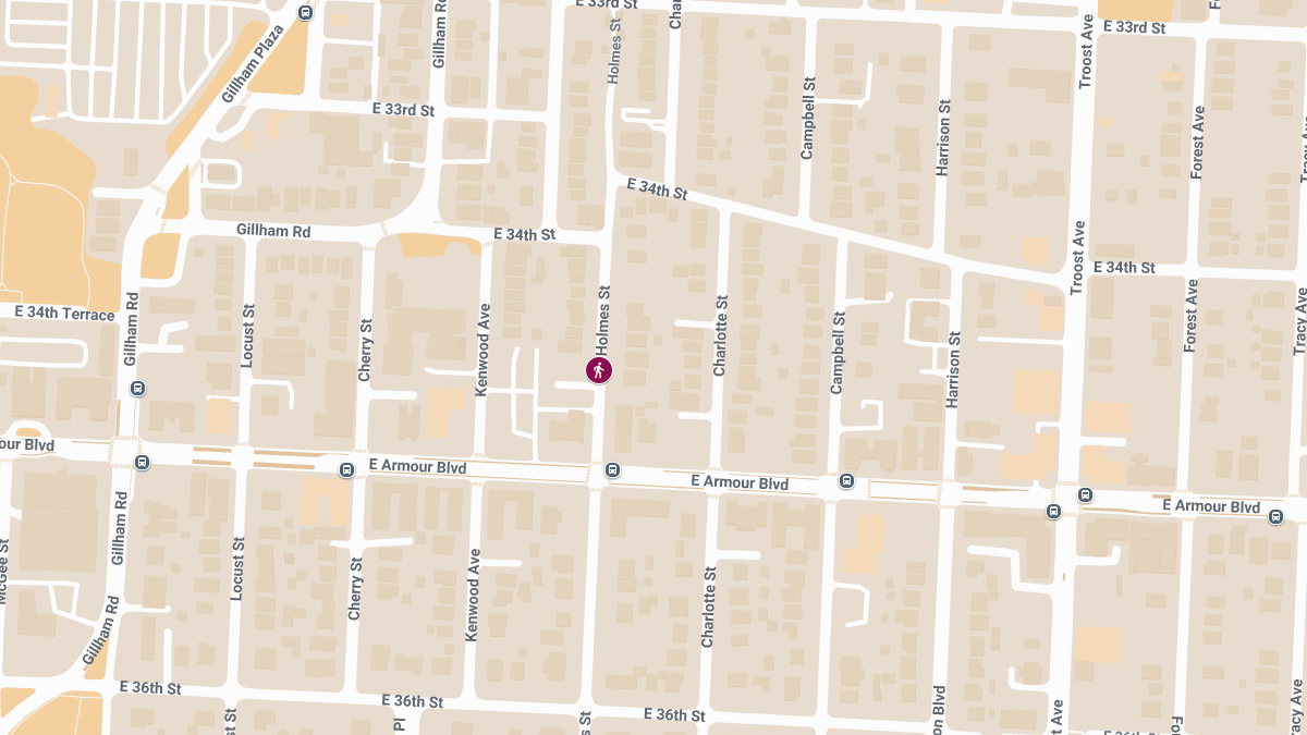 Pedestrian Injured in Crash on Holmes St