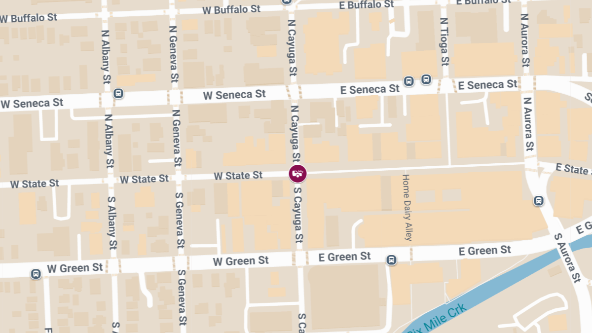 Pedestrian Injured in Traffic Accident at MLK Jr Ave & E New York St