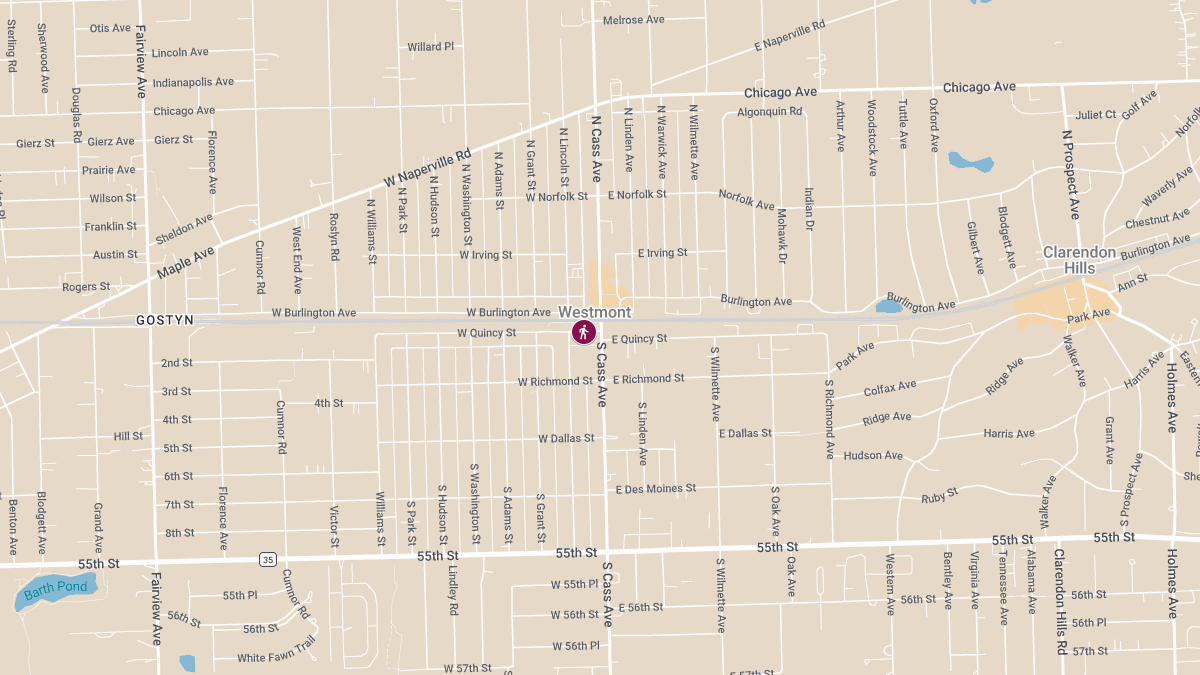 Pedestrian Killed by Metra BNSF Train