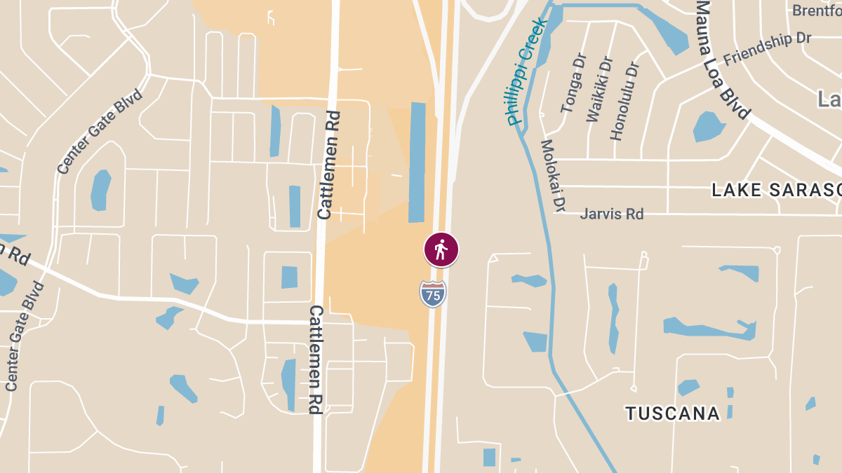 Pedestrian Killed on I-75 Near MM 202