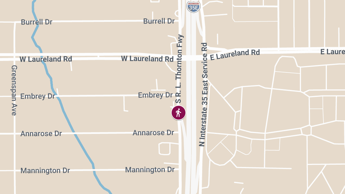 Pedestrian Killed on R L Thornton Fwy near Laureland Rd