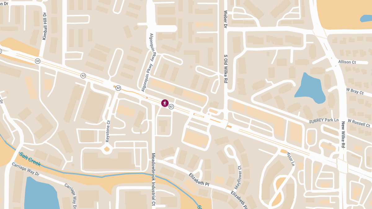 Pedestrian Seriously Injured in Accident on Algonquin Rd Near Meadowbrook Industrial Ct