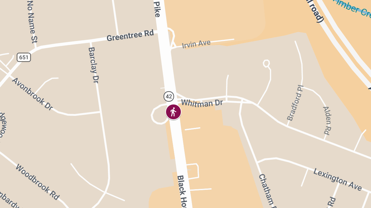 Pedestrian Seriously Injured in Hit-and-Run on State Hwy 42 at Whitman Dr