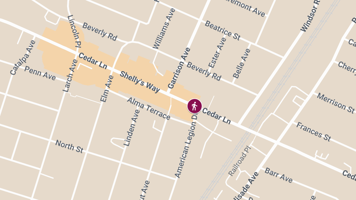 Pedestrian Seriously Injured on Cedar Ln