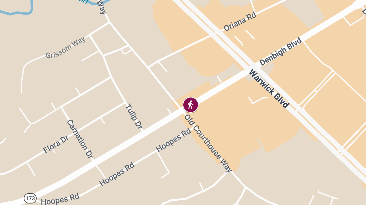 Pedestrian Struck at Denbigh Blvd & Old Courthouse Way