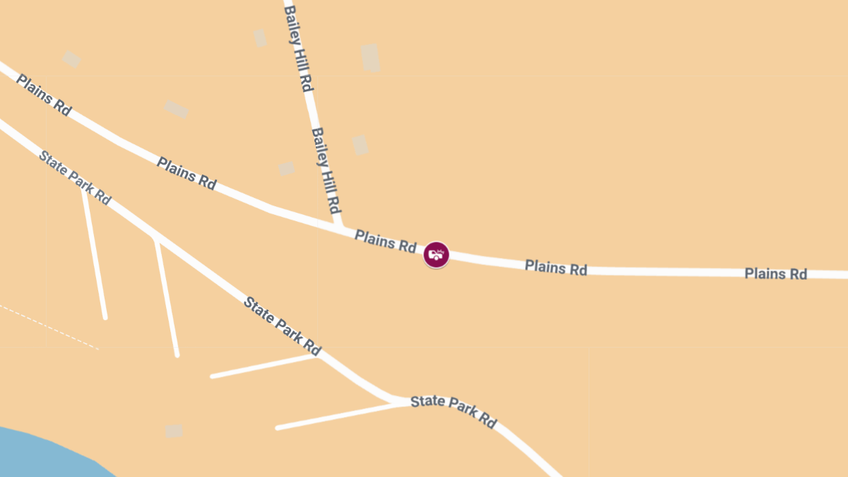 Second Victim Dies After Head-On Crash on Plains Rd