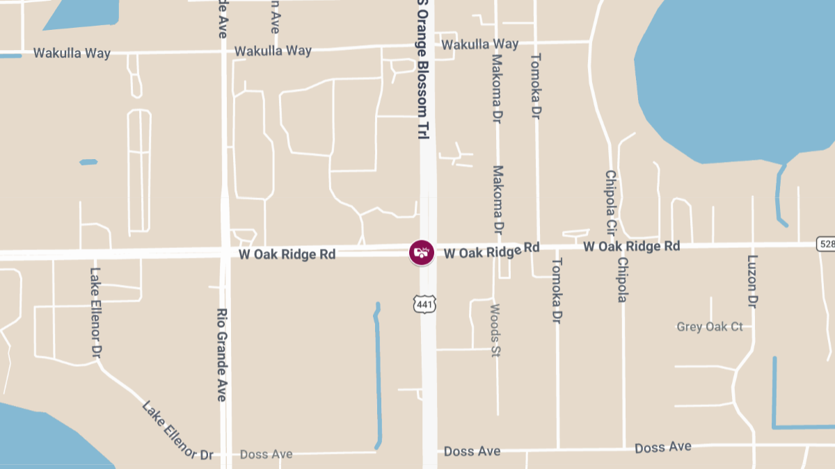 Traffic Accident With Injuries at S Orange Blossom Trl & W Oak Ridge R