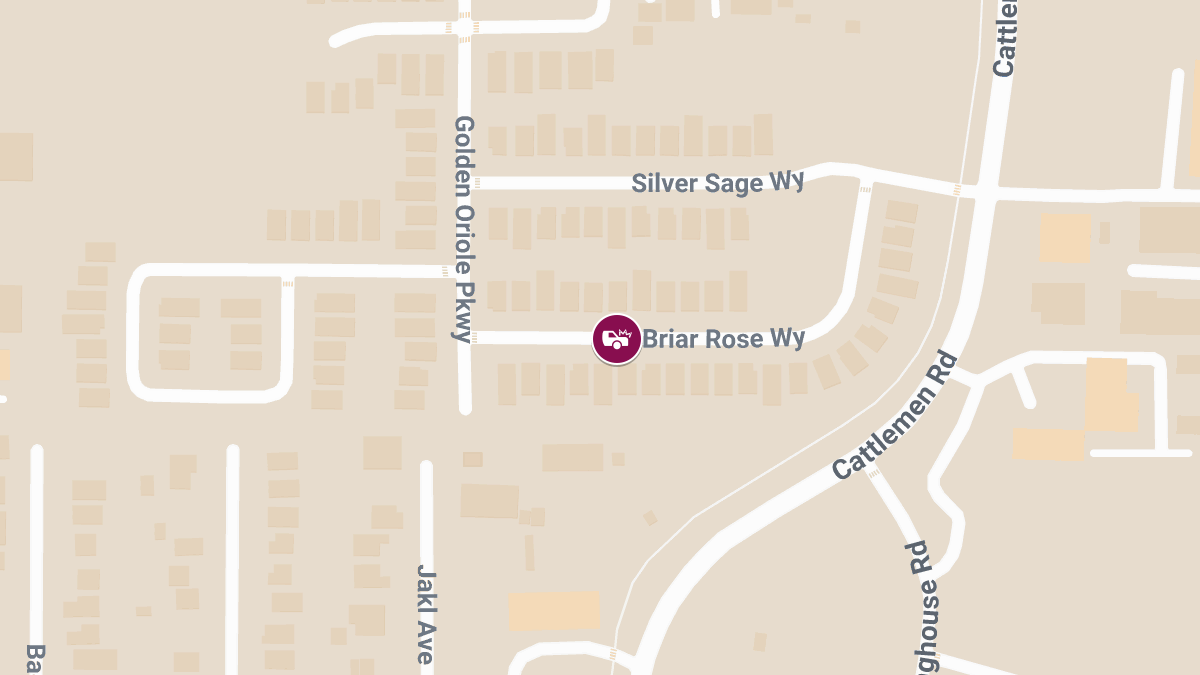 Traffic Crash With Injuries Reported Near Briar Rose Way
