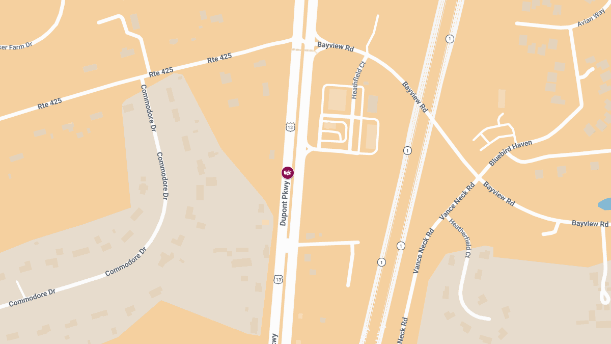 Woman Killed, Others Injured in Dupont Pkwy Crash