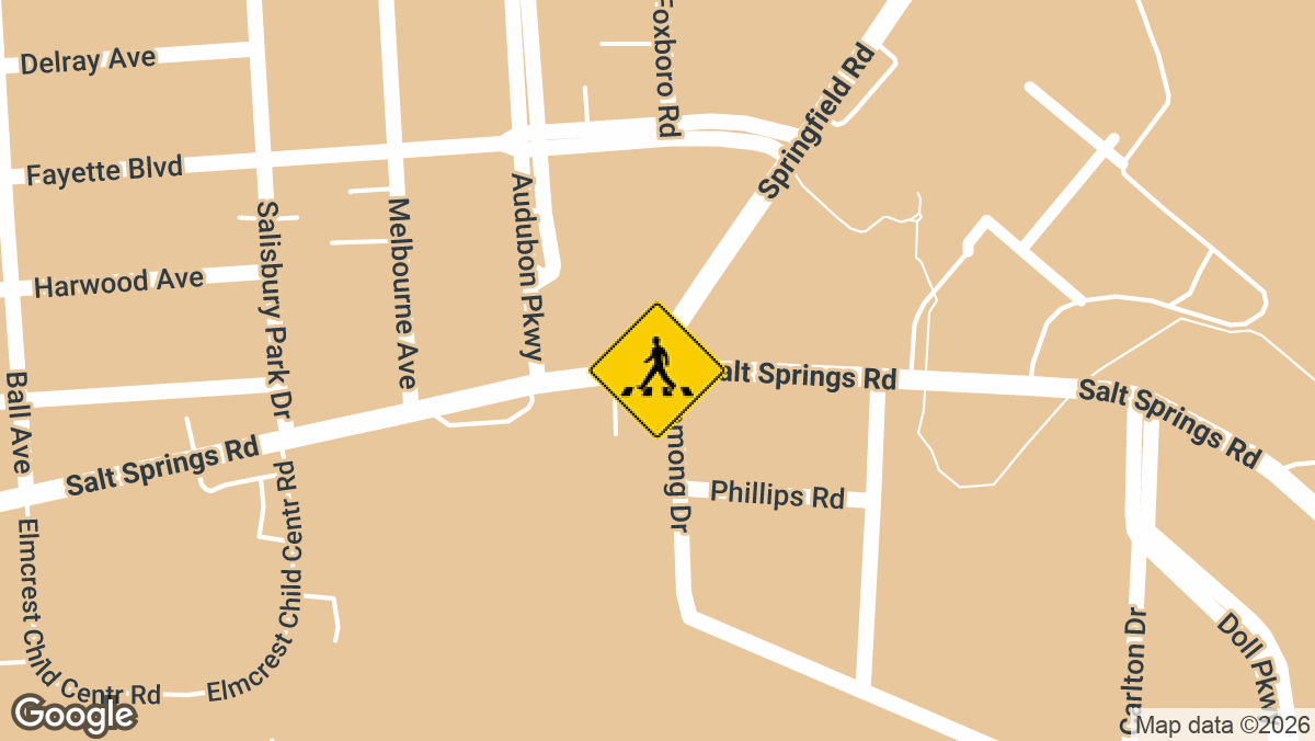A car-pedestrian crash involving a child was reported on Wednesday, March 25, near the intersection of Springfield Road and Salt Springs Road in Syracuse, close to the Soule Branch Library.