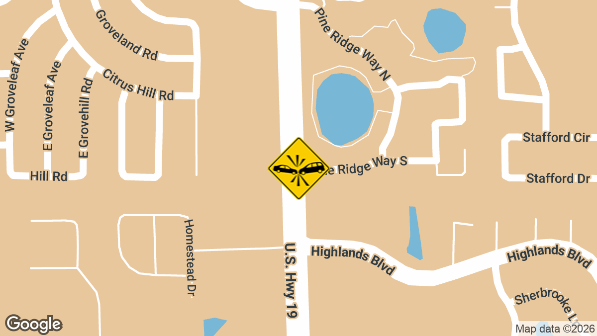 U.S. 19 and Pine Ridge Way South