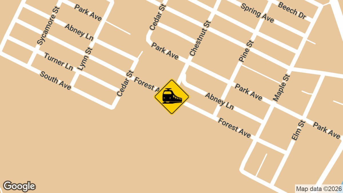 Forest Ave & Chestnut St