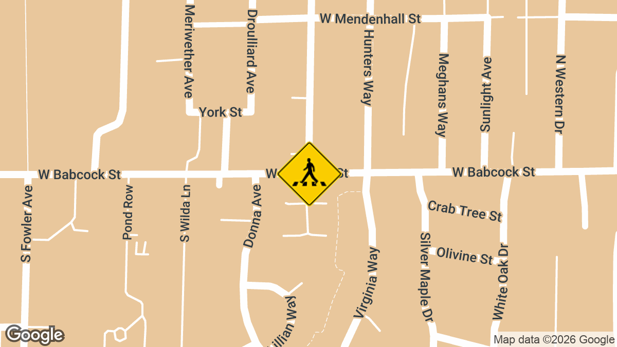 A pedestrian was severely injured early Sunday, April 26, after a car jumped the curb and struck him on West Babcock Street in Bozeman, Montana.