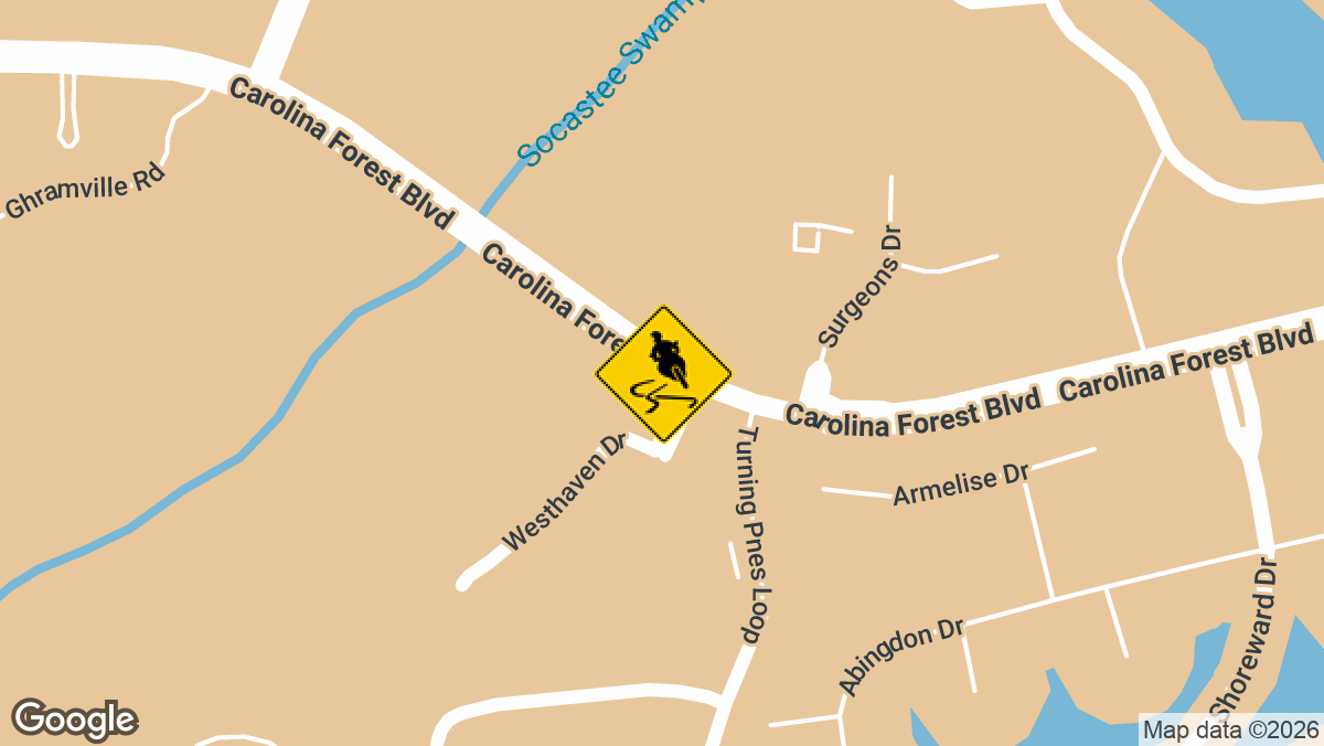 Carolina Forest Blvd, Carolina Forest, SC