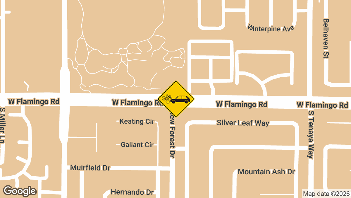 W Flamingo Rd, Las Vegas, NV