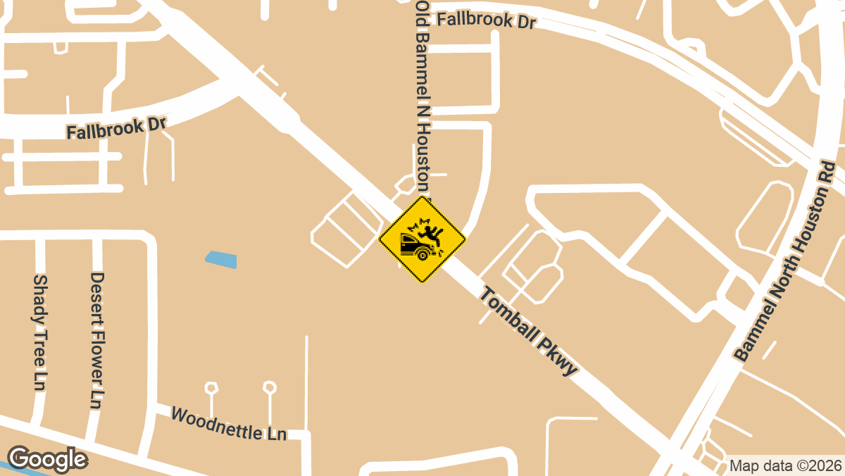 A woman died Thursday night, June 11, after being struck by a vehicle while crossing Highway 249 in Harris County.