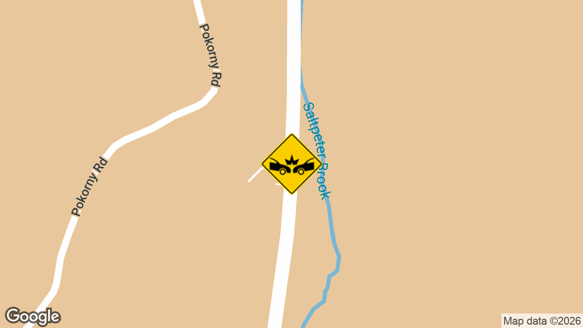 Rte 81